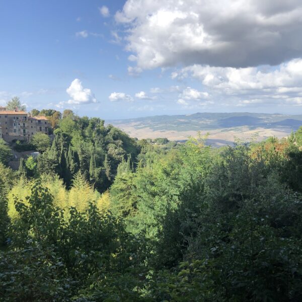 Volterra