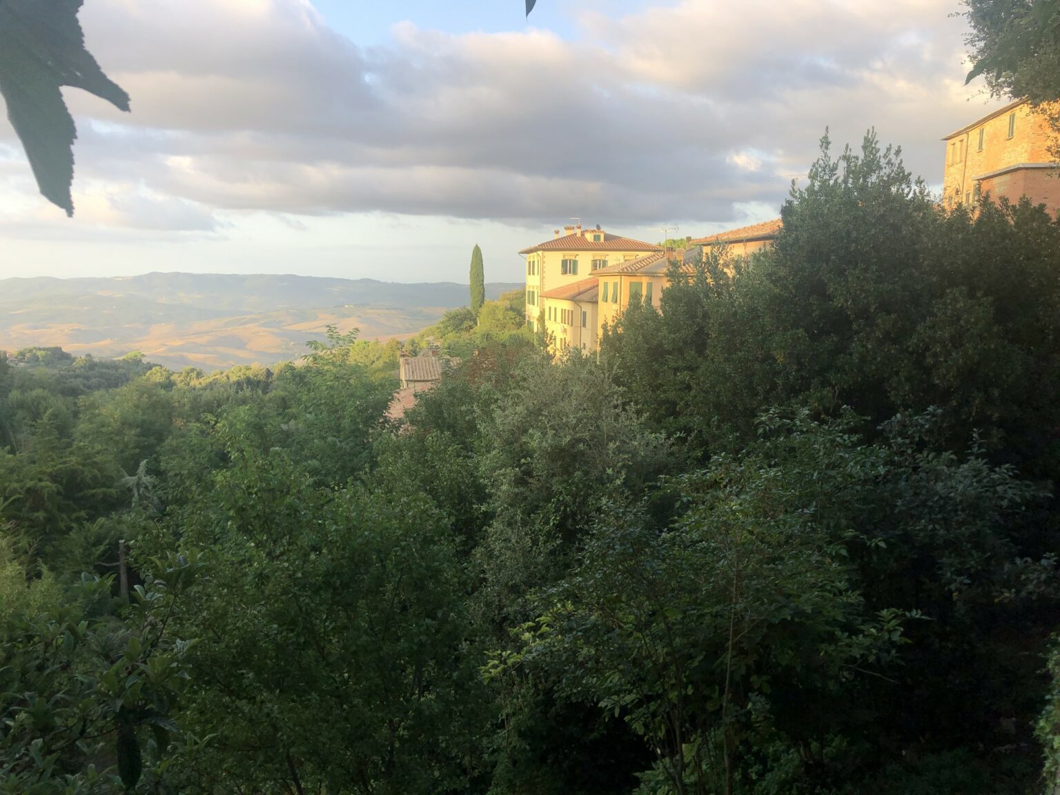 Volterra
