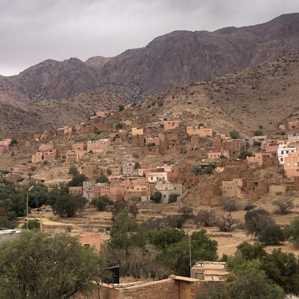 Ammelne
