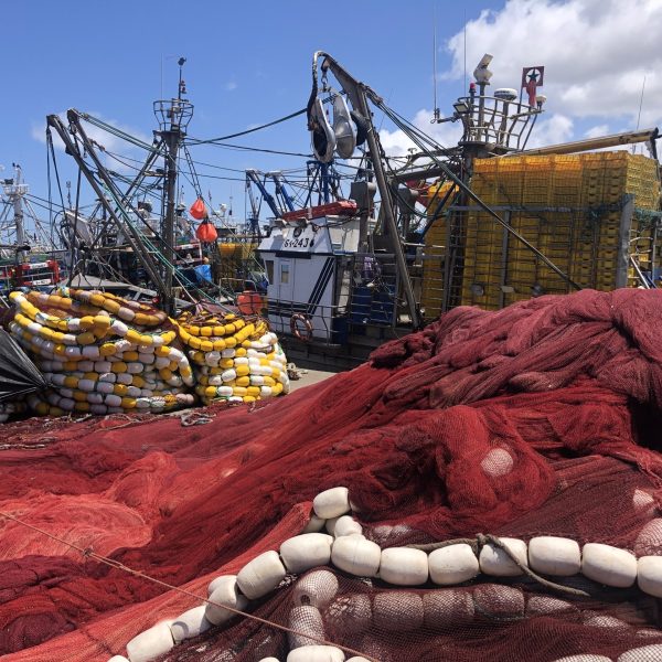 Port de Essaouira