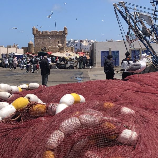 Port de Essaouira