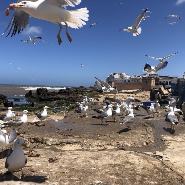 Essaouira