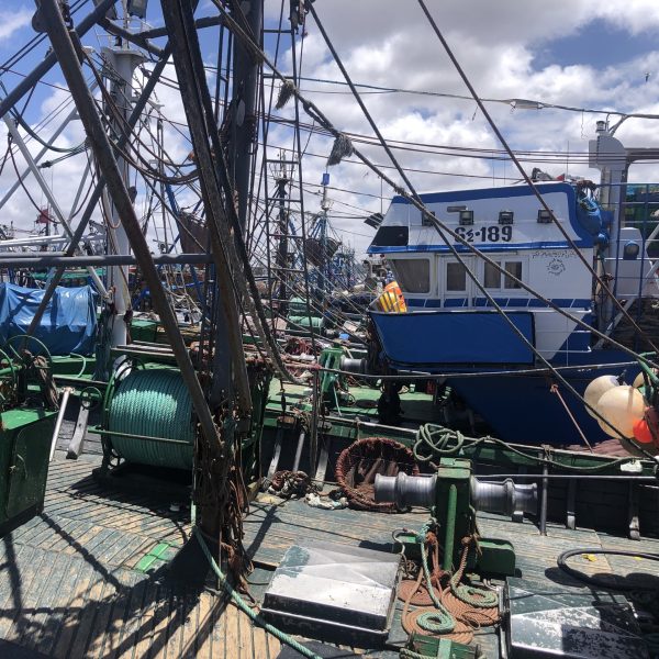Port de Essaouira