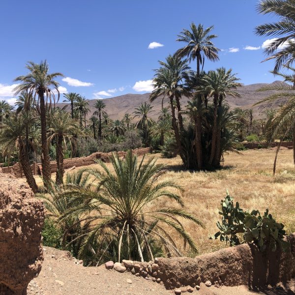 Ksar Tamnougalt