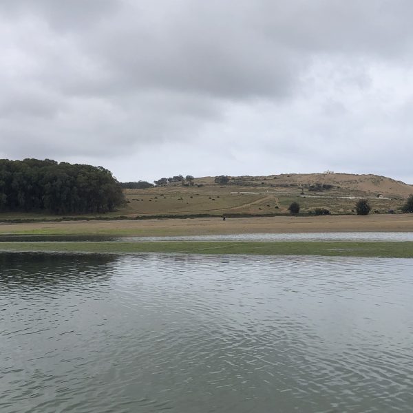 Lagune de Merdja Zerga à Moulay Bousselham