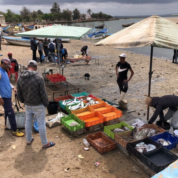 Lagune de Merdja Zerga à Moulay Bousselham