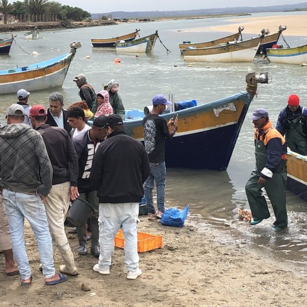 Lagune de Merdja Zerga à Moulay Bousselham