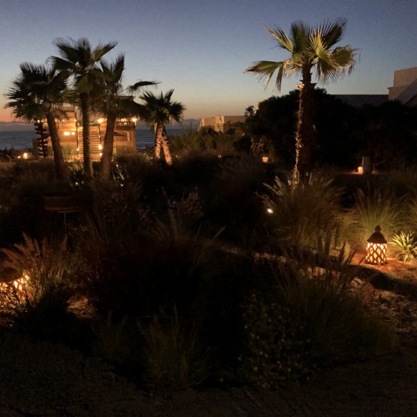 Oasis Mogador_4