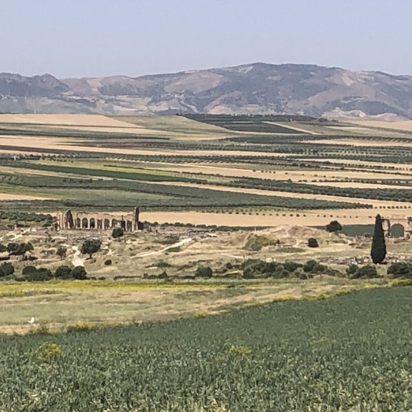 Volubilis