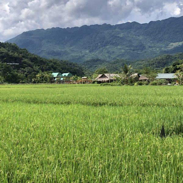 Mai Chau