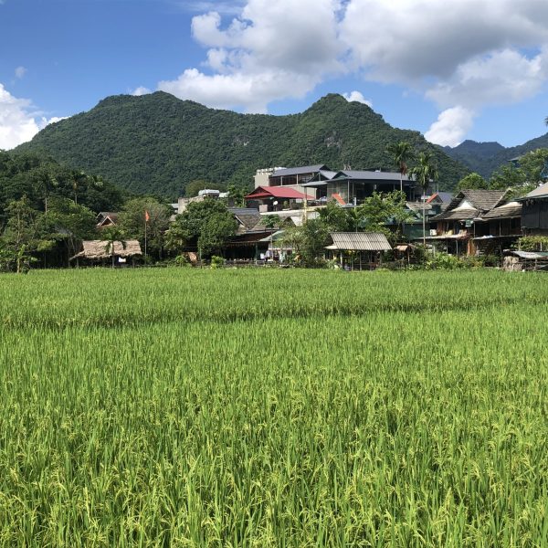 Mai Chau