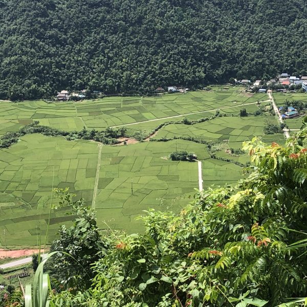 Mai Chau