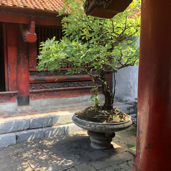 Hanoï - Le Temple de la Littérature