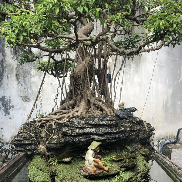 Hanoï - Le Temple de la Littérature