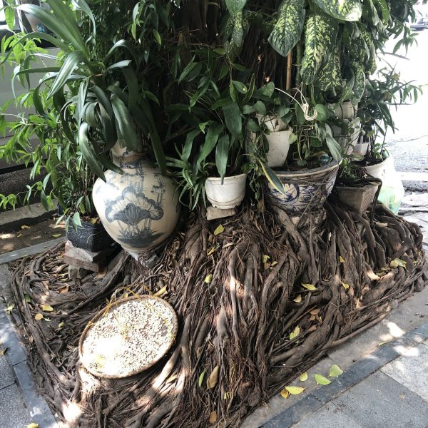 Hanoï