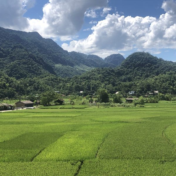 Mai Chau