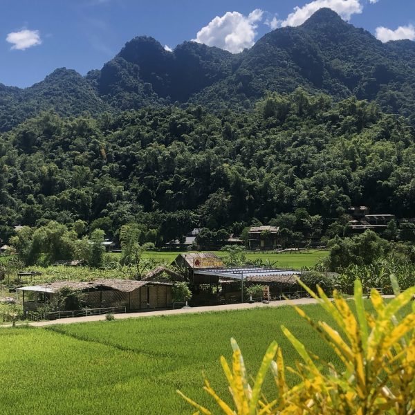 Mai Chau