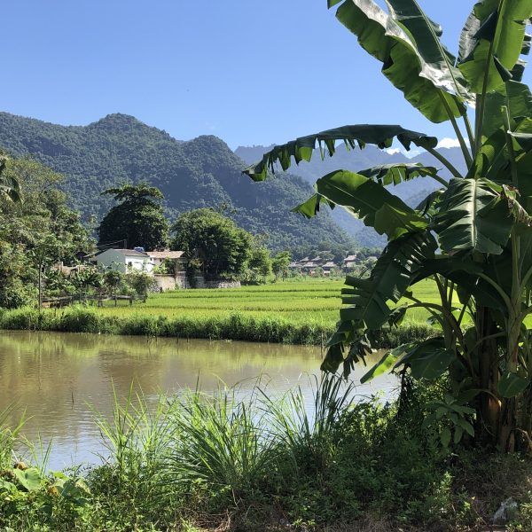 Mai Chau
