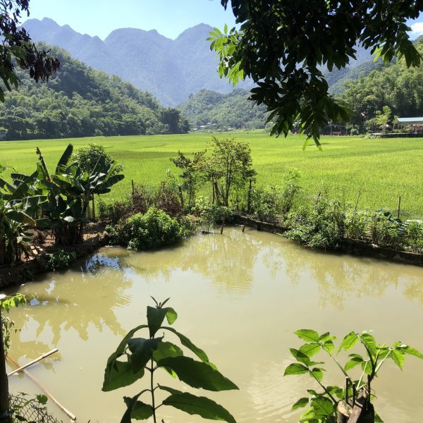 Mai Chau